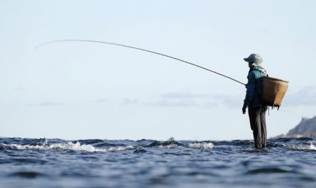 24 symbolic meanings of dreaming about fishing