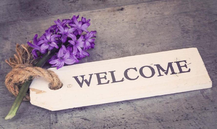 12 symbolic meanings of dreaming about receiving guests