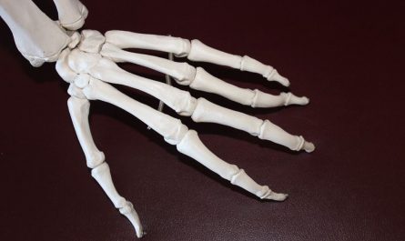 16 Symbolic Meanings of Dreaming of Human Bones