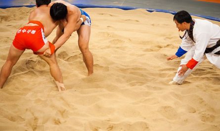 20 Symbolic Meanings of Dreaming about Wrestling