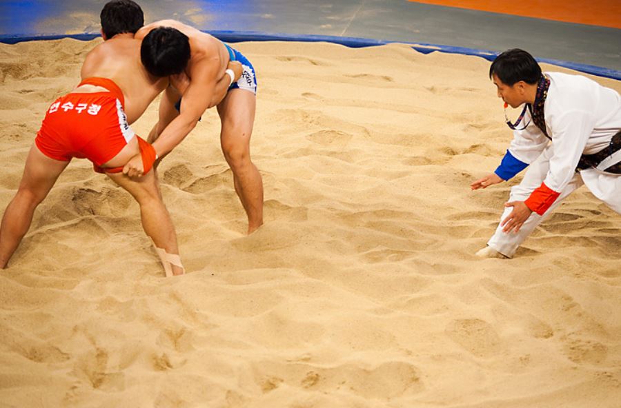 20 Symbolic Meanings of Dreaming about Wrestling