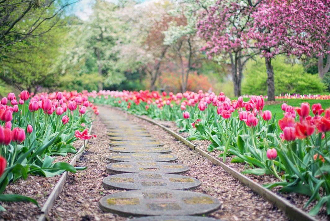 23 Symbolic Meanings of Dreaming of a Downhill Road