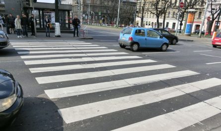 20 Symbolic Meanings of Dreaming about Zebra Crossings