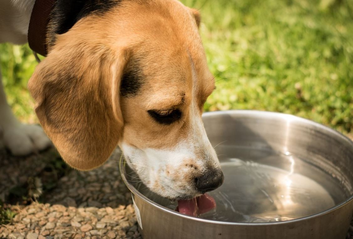 24 Symbolic Meanings of Dreaming of Thirst