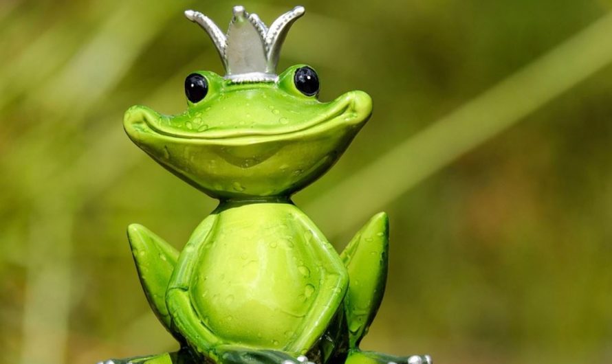 29 Symbolic Meanings of Dreaming about Frogs