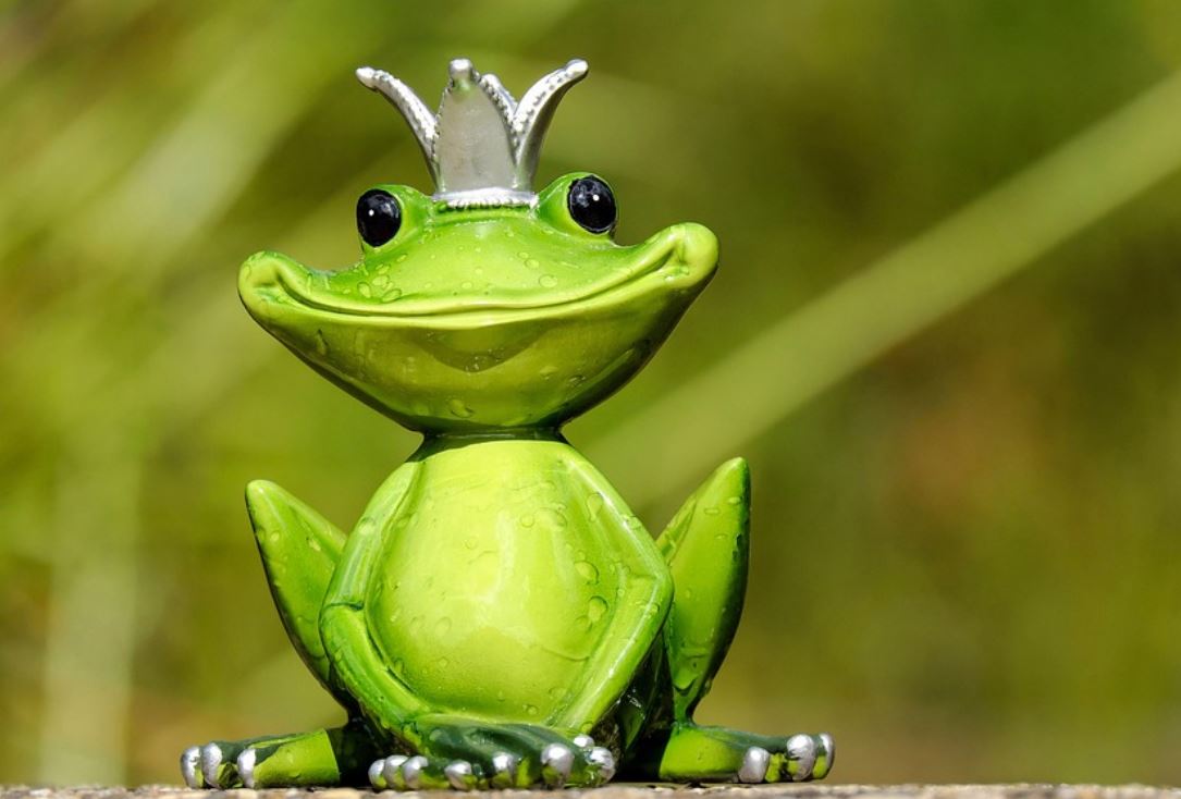 29 Symbolic Meanings of Dreaming about Frogs