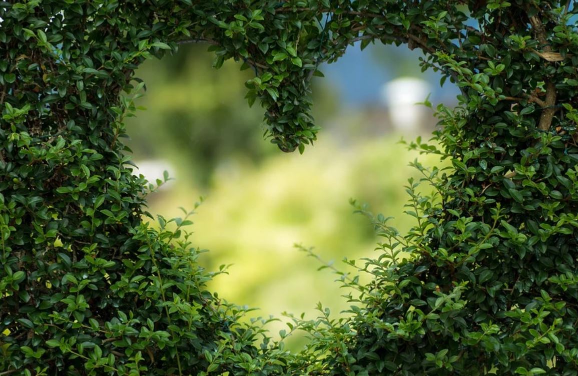 23 Symbolic Meanings of Dreaming of Green