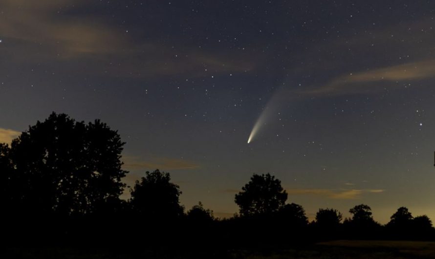 22 Symbolic Meanings of Dreaming of Shooting Stars