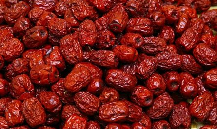 17 Symbolic Meanings of Dreaming About Planting Jujube Trees