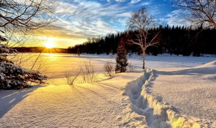 23 Symbolic Meanings of Dreaming of Winter's Arrival