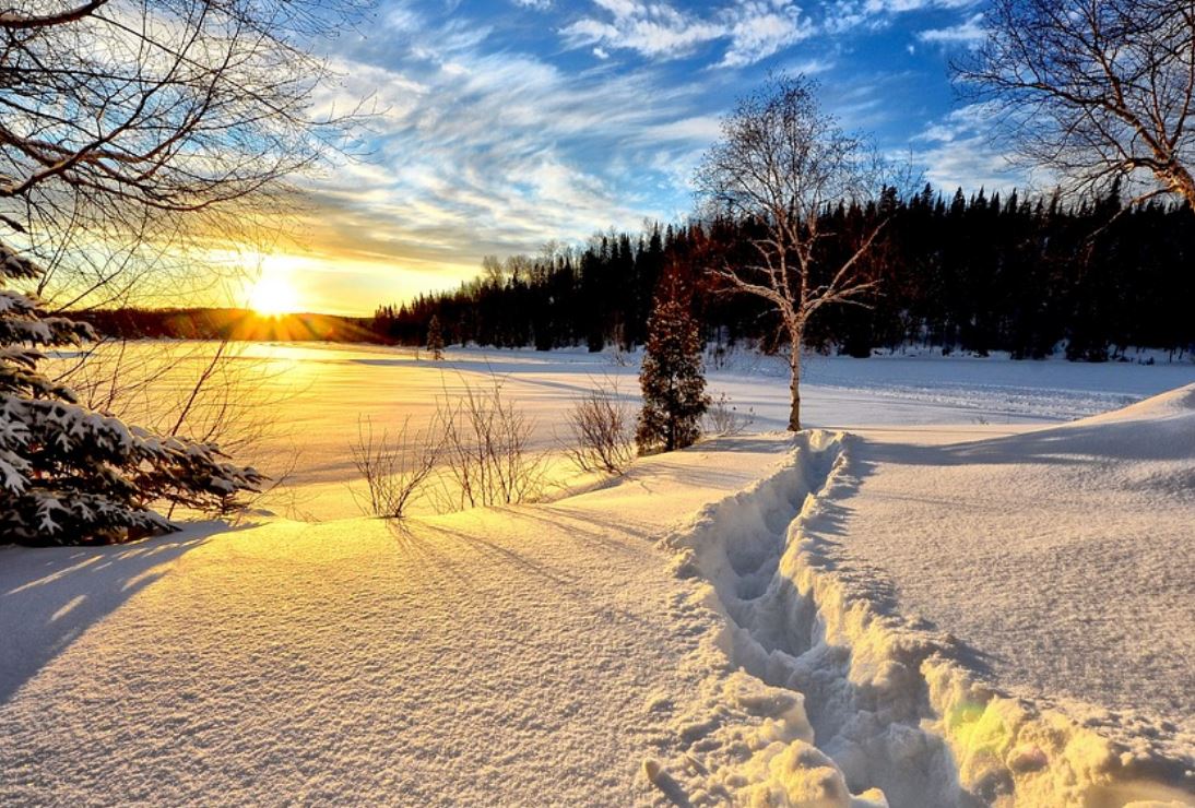 23 Symbolic Meanings of Dreaming of Winter's Arrival