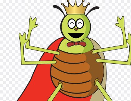 9 Symbolic Meanings of Dreaming about Fleas