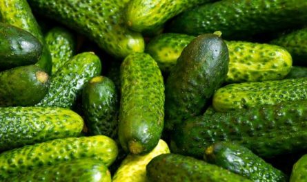 12 Symbolic Meanings of Dreaming about Cucumbers