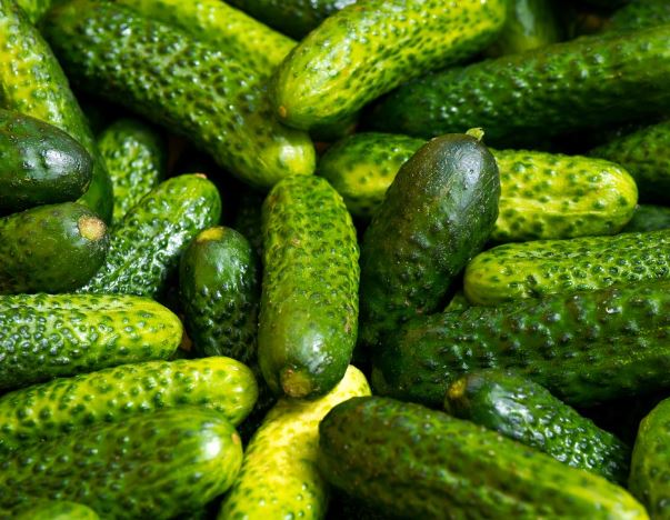 12 Symbolic Meanings of Dreaming about Cucumbers