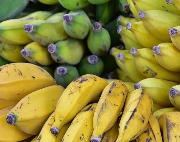 15 Symbolic Meanings of Dreaming about Bananas