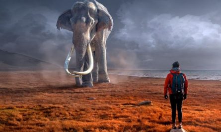 What does it mean to dream of an elephant?