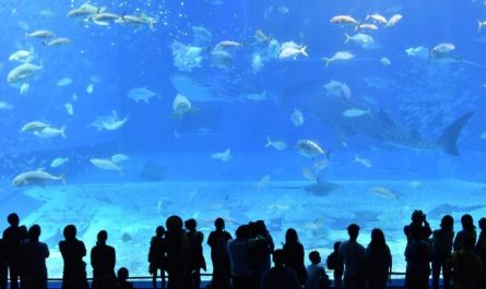 What does it mean to dream of an aquarium?