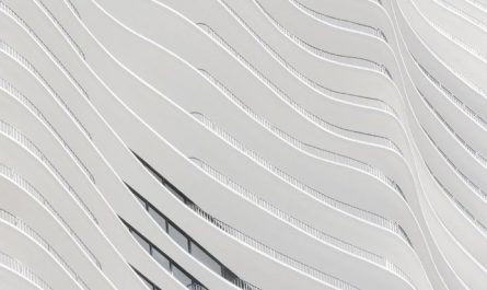 What does it mean to dream of white?