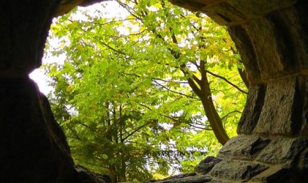 What does it mean to dream of a pit?