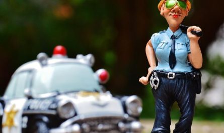 What does it mean to dream of a detective?