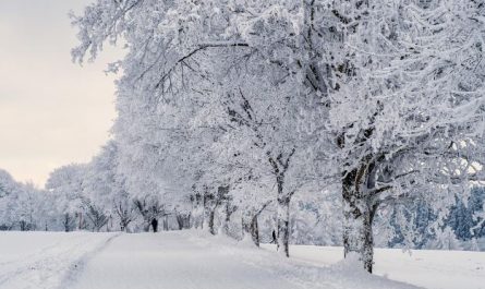 What does it mean to dream of falling snow?