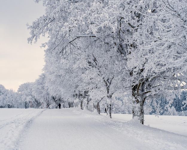 What does it mean to dream of falling snow?
